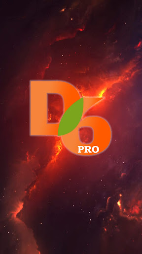 d6pro Screen 3