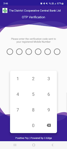 ELURU Bank Positive Pay Screen 3