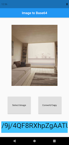 Image to Base64 Converter Screen 2