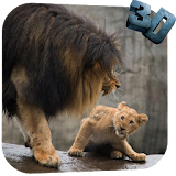 Lion Video Live Wallpaper icon