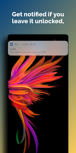 Lockfy Personal Screen 3