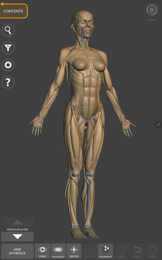 Screenshot of 3D Anatomy for the Artist