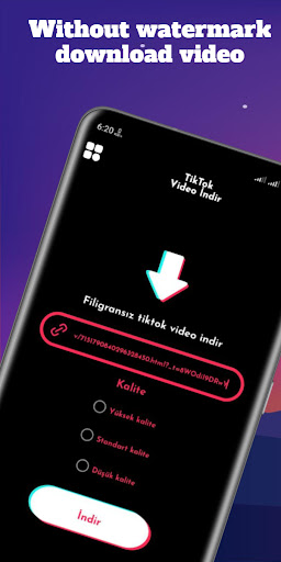Tiktok video downloader