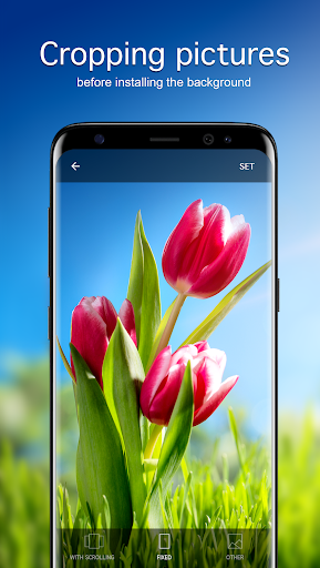Screenshot of Tulip Wallpapers 4K