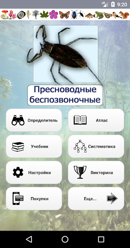 Android application EcoGuide: Water Invertebrates screenshort