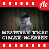 Kicau Ciblek Ngebren Master icon