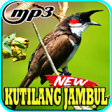 Kicau Burung Kutilang Jambul Top Mp3 icon