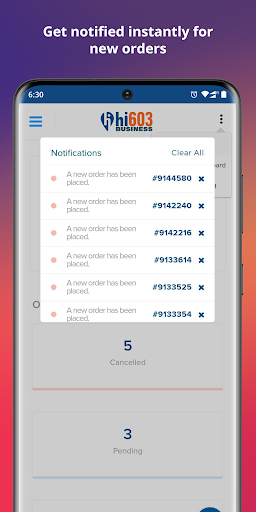 Biz - hi603 - Sell Online Now Screen 3