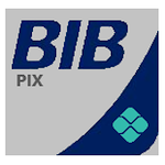 Cover Image of ดาวน์โหลด BIB PIX 1.10 APK