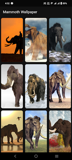Mammoth Wallpaper Screen 3