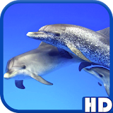 Dolphins Video Live Wallpaper icon