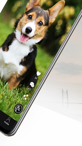 Teeky - easy live videos Screen 2