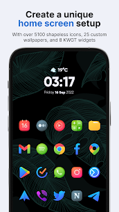 Vera Icon Pack APK (Patched/Full) 1