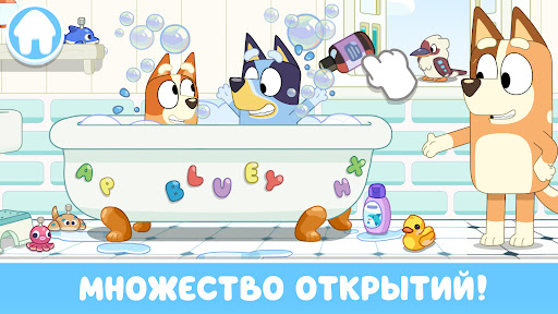 Предварительный просмотр приложения