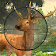 Animal Hunting: Jungle Hunter Sniper Shooting icon