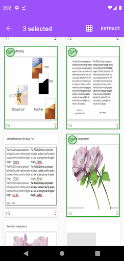 PDF To JPG Converter Screen 2