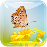 Butterfly Live Wallpaper HD icon