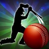 T20 Cricket Premier League icon