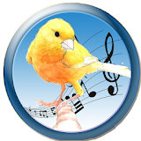 Malinois Canary Trainer icon
