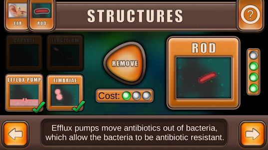 Bacteria Builder