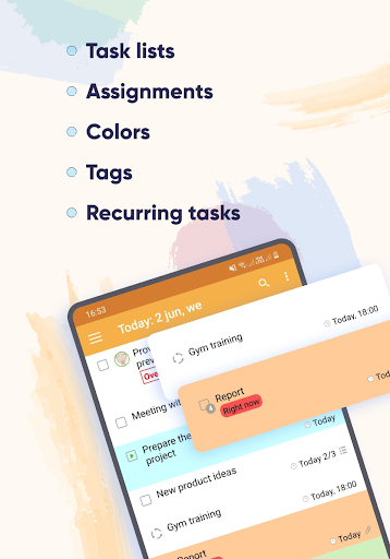 Screenshot of LeaderTask: to do and reminder