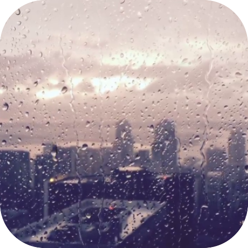 Rain Video Live Wallpaper logo