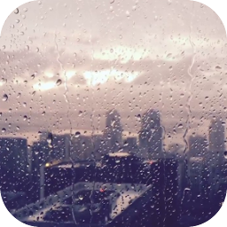 Icoonafbeelding voor Rain Video Live Wallpaper