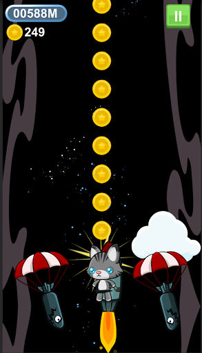 The Flying Cat In Jetpack