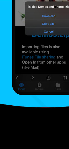 D-Mannager File Downloader and Screen 3