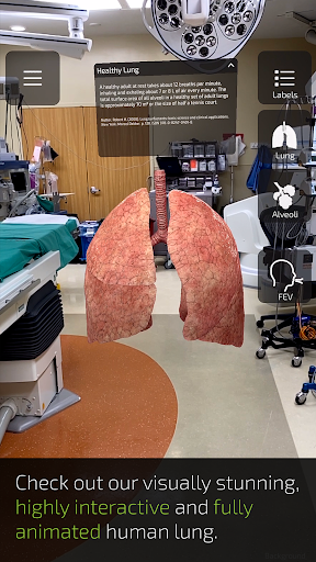 INSIGHT LUNG Screen 3