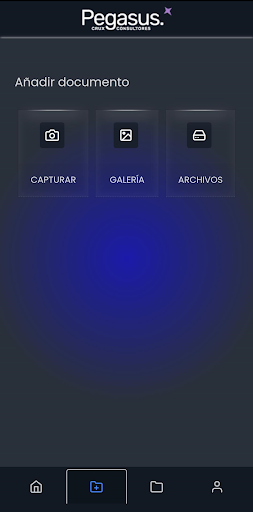 Pegasus Screen 2