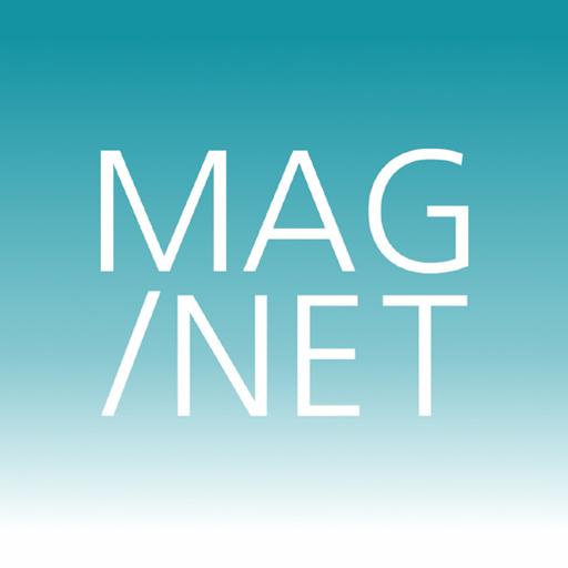 Artifact: MAG/NET logo