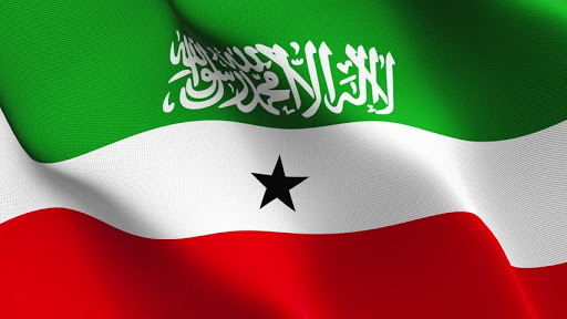 Android application Somaliland Profile screenshort