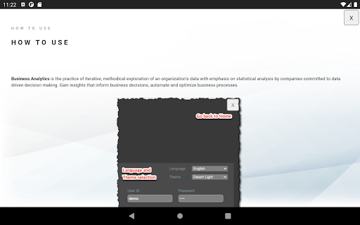 AMPLIX Business Analytics