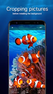 Underwater Wallpapers 4K Apk Download New* 4