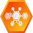 HIVE NETWORKS