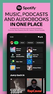 Spotify Premium 1