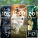 Dog HD Wallpaper - Androidアプリ