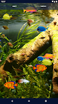 screenshot of Aquarium Fish Live Wallpaper