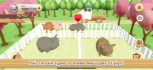 Pig Farm 3D Screen 3
