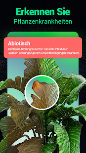 Plantum - Pflanzen bestimmen Screenshot