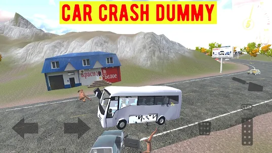 Car Crash Dummy