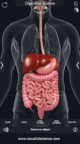 Digestive System Apps On Google Play