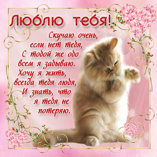 Я люблю тебя Screen 2