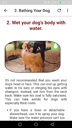 How To wash a Dog