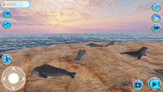 Seal Island - Screenshot 2
