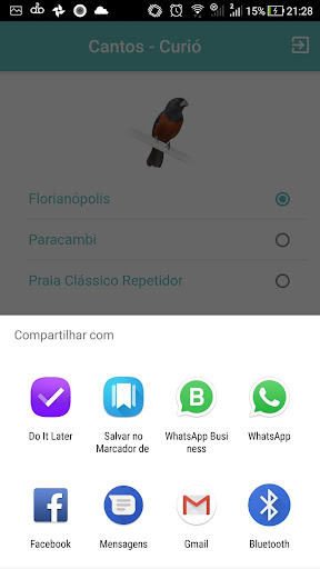 Android application Cantos Curió - Paracambi screenshort