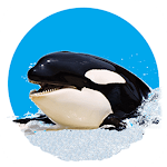 Cover Image of ダウンロード Killer Whale 3D  APK