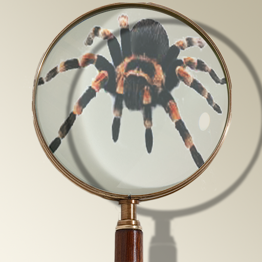Magnifying Glass logo