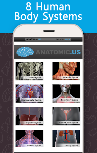 Anatomy Game Anatomicus Pro